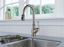 Load image into Gallery viewer, K110 - Kitchen Faucet - Brushed Nickel