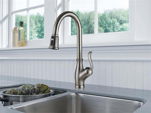 Load image into Gallery viewer, K110 - Kitchen Faucet - Brushed Nickel

